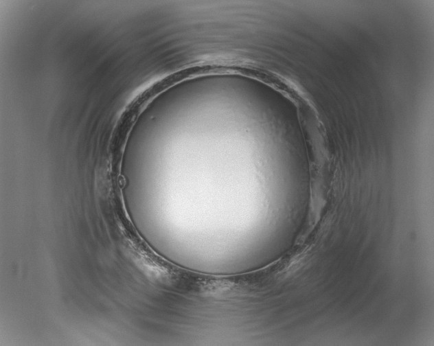 X0000078270971200611101103