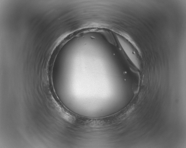 X0000078270972200611101103