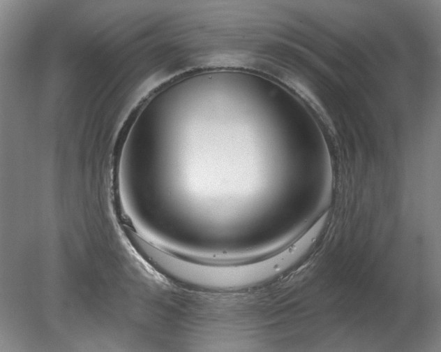X0000078270992200611101103