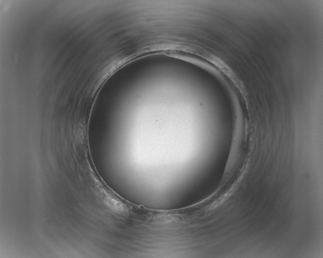 X0000078270993200611101103