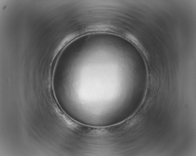X0000078270994200611101103
