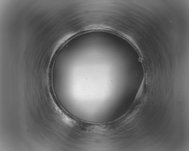 X0000078270995200611101103