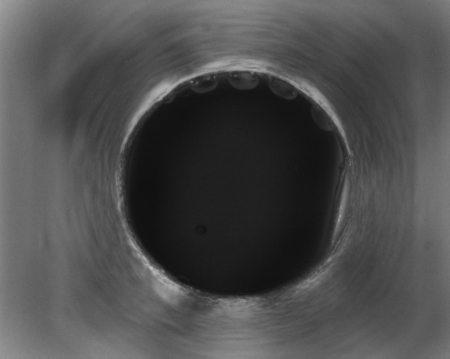 X0000078270997200611101103