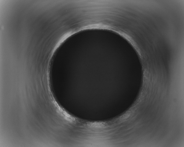 X0000078270998200611101103