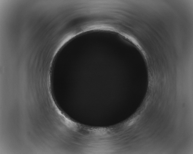 X0000078270999200611101103