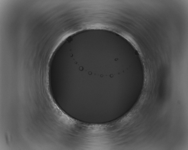 X0000078271000200611101103