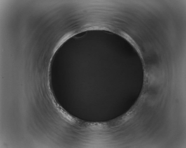X0000078271002200611101103