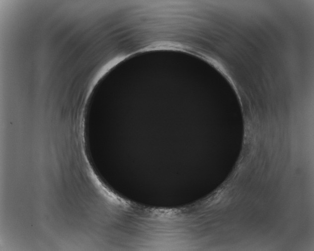 X0000078271003200611101103