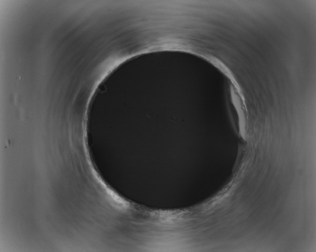 X0000078271005200611101103