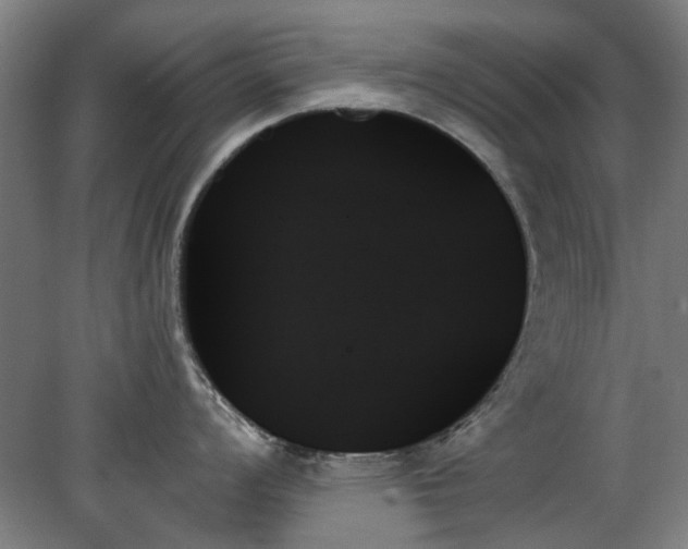 X0000078271008200611101103