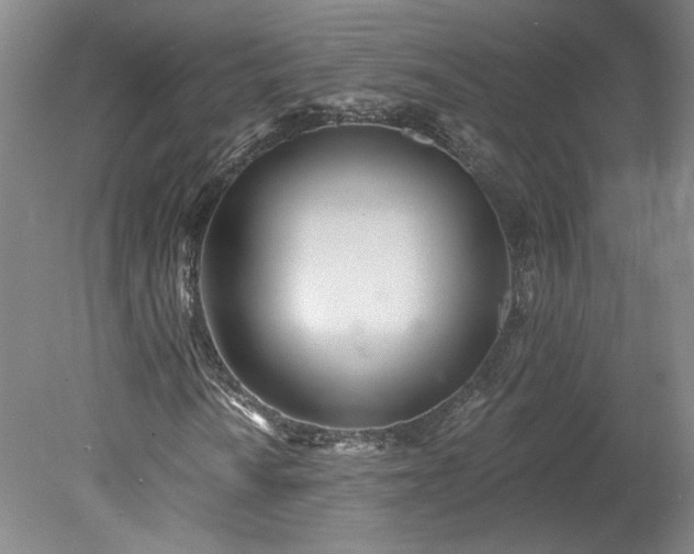 X0000078271010200611101102