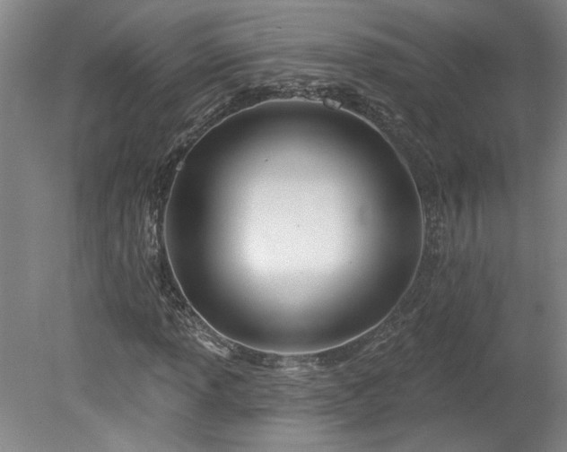 X0000078271013200611101102