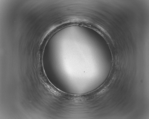 X0000078271021200611101102