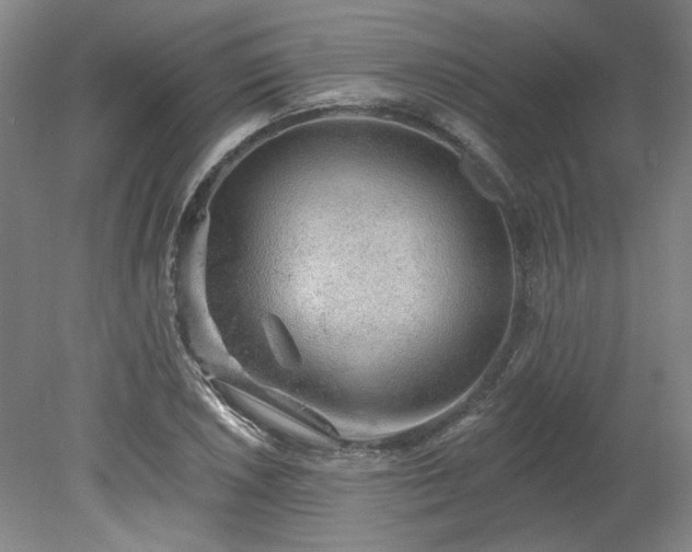 X0000078271026200611101102