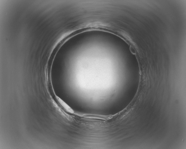 X0000078271032200611101102