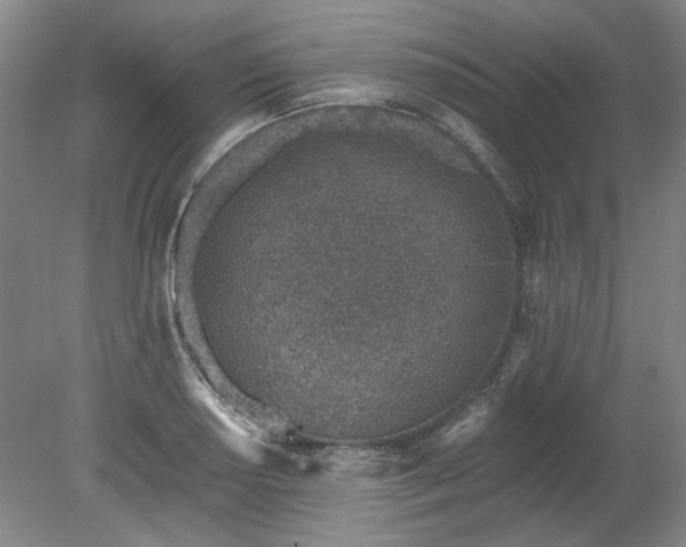 X0000078271034200611101102