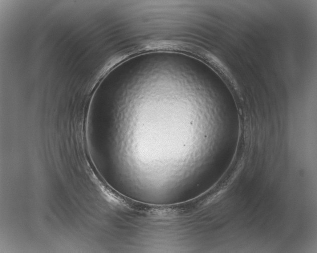 X0000078271041200611101102