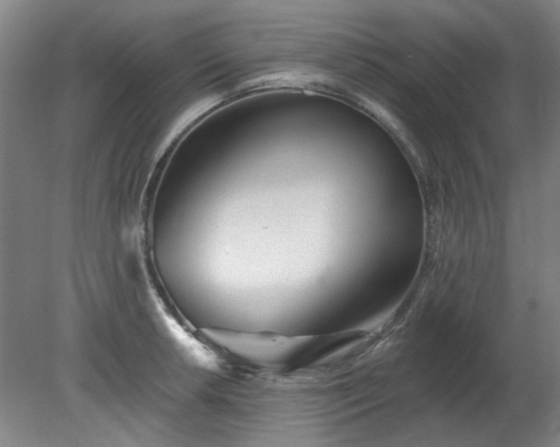 X0000078271042200611101102