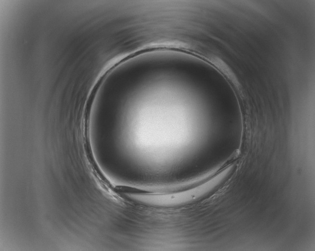 X0000078271044200611101102