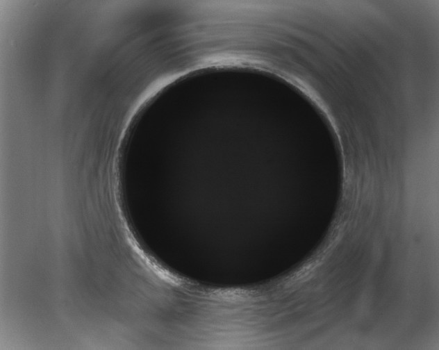 X0000078271045200611101102