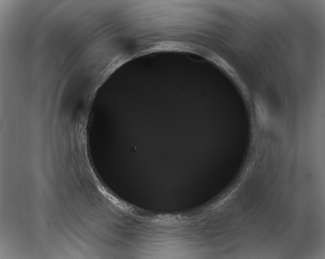 X0000078271049200611101102