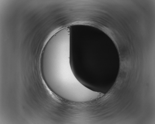 X0000078271050200611101102