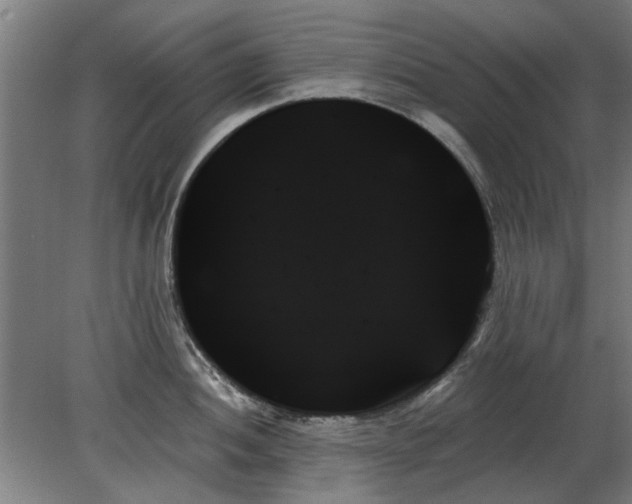 X0000078271052200611101102