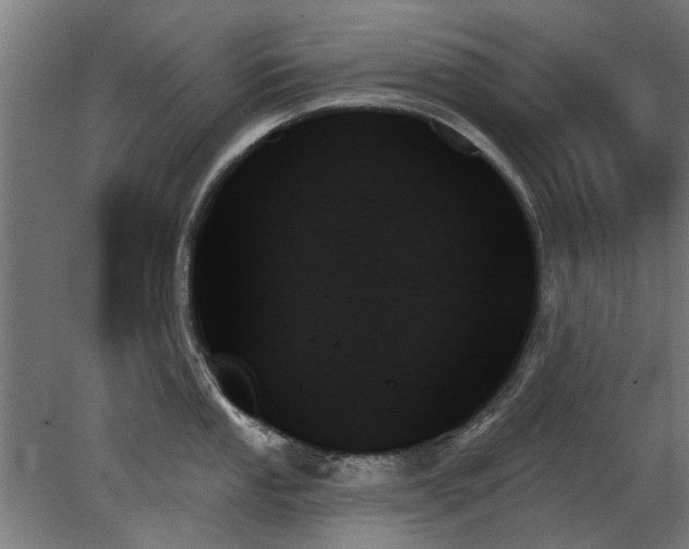 X0000078271053200611101102