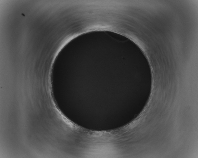 X0000078271056200611101103