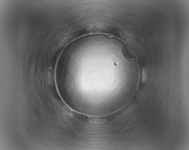 X0000078271059200611101102
