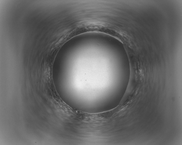X0000078271061200611101102
