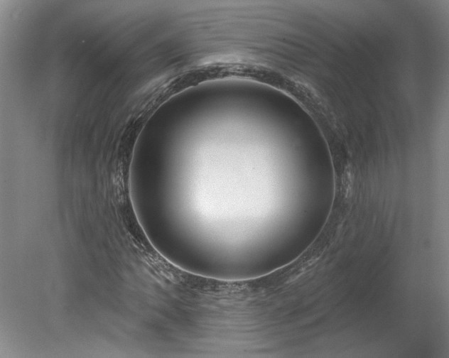 X0000078271062200611101102