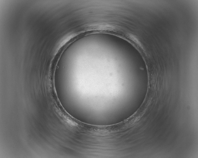 X0000078271071200611101101