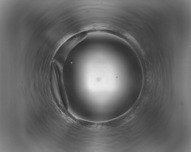 X0000078271081200611101101