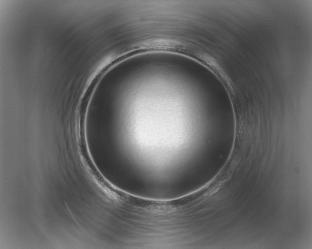 X0000078271083200611101101
