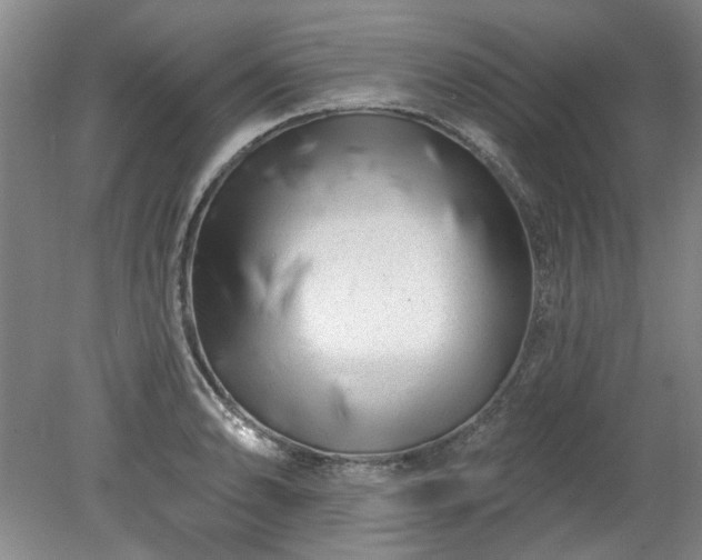 X0000078271086200611101101