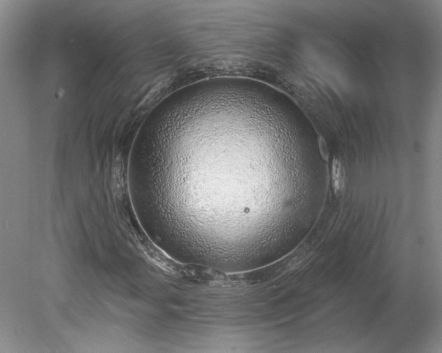 X0000078271107200611101100