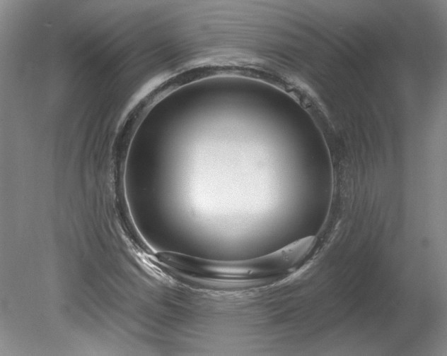 X0000078271114200611101100