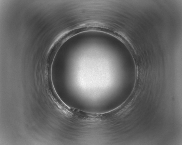 X0000078271115200611101100