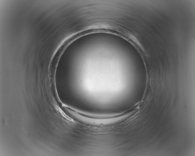 X0000078271116200611101100