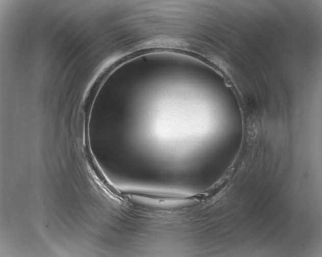 X0000078271123200611101100