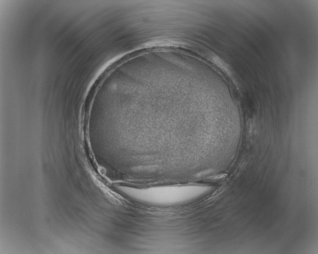X0000078271124200611101100