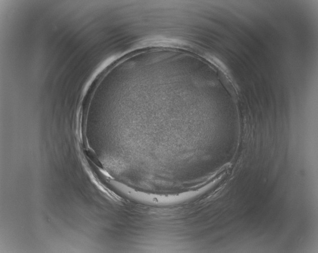 X0000078271128200611101101