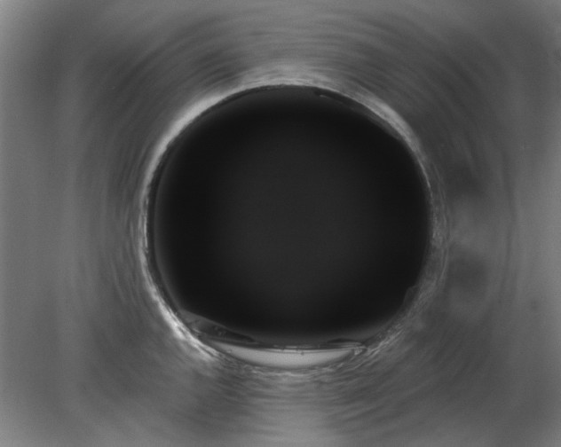 X0000078271144200611101101