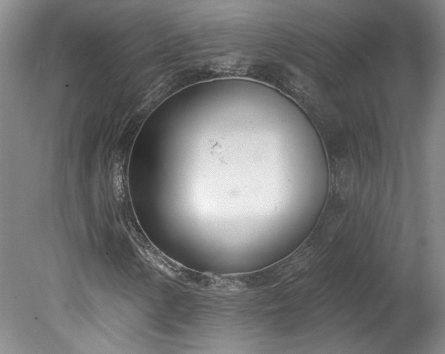 X0000078271154200611101100