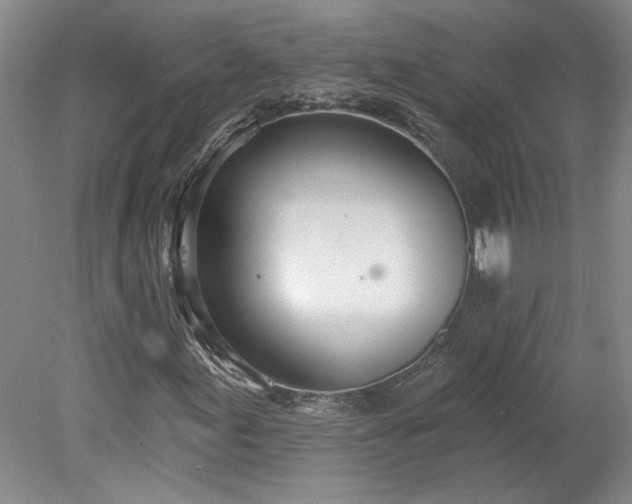 X0000078271155200611101100