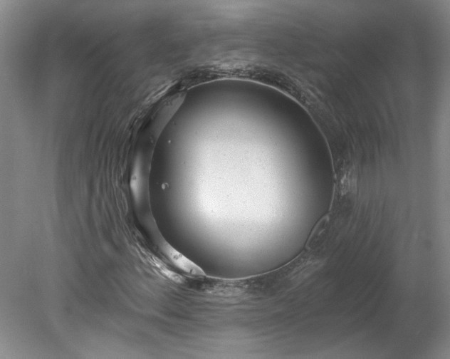 X0000078271156200611101100