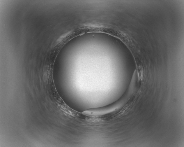 X0000078271157200611101100