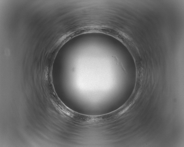 X0000078271161200611101100