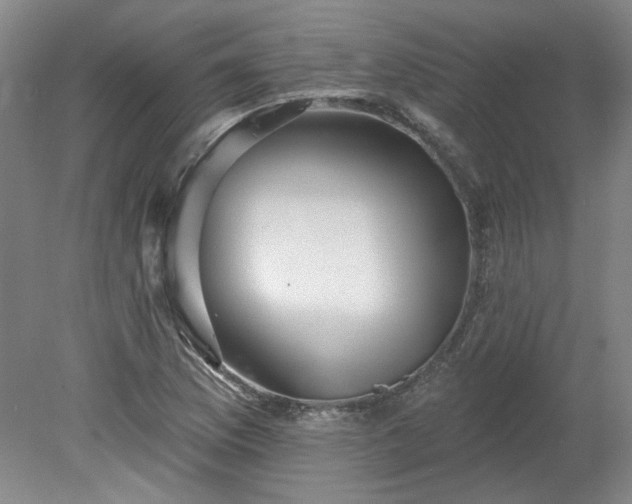X0000078271169200611101100